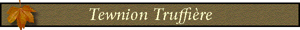 Tewnion Truffi�re